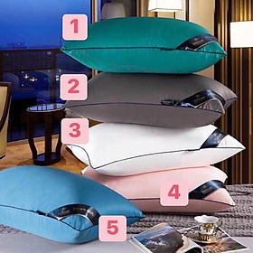 Mua 2 chiếc ruột gối nặng 1 3kg
