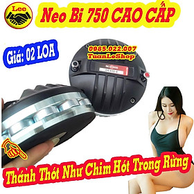 Mua LOA TREBLE 750 NEO BI B C CAO CẤP - GIÁ 02 LOA TRÉP 750 NEO BI