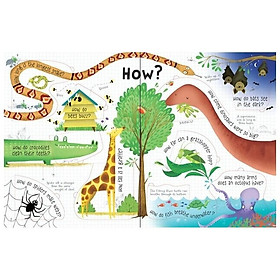 Sách tương tác tiếng Anh - Usborne Lift-the-flap Questions and Answers about Animals