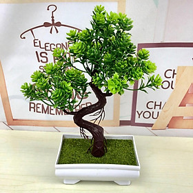 Mua Cây giả/chậu tiểu cảnh giả nhỏ trang trí
