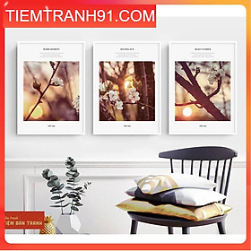 Mua Tranh treo tường - Bộ 3 bức canvas tổng hợp 81   tranh canvas giá rẻ