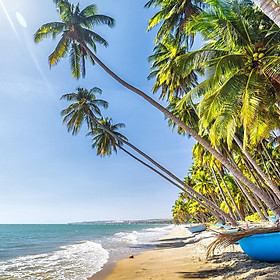 Tour Phan Thiết - Mũi Né 2N1Đ: Resort 3 - 4 Sao, Khởi Hành Thứ 7 Hàng Tuần Từ Sài Gòn