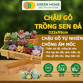Chậu Gỗ Trồng Sen Đá Greenhome, Cafedo, D23xr9xc5cm, Trang Trí Cây Cảnh Để Bàn, Xương Rồng, Nhiều Màu Để Lựa Chọn