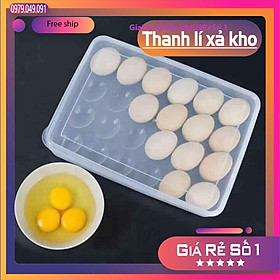 Mua Hộp đựng trứng gà  trứng vịt 24 quả nhựa Việt Nhật