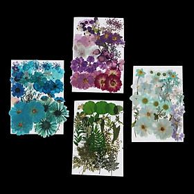 Mixed Dried Flower Larkspur Real Dried DIY Greeting Card Craft Handmade