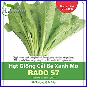 Mua Hạt Giống Cải Bẹ Xanh Mỡ 20 Gam