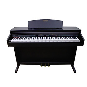 Đàn piano điện dynatone SLP 50