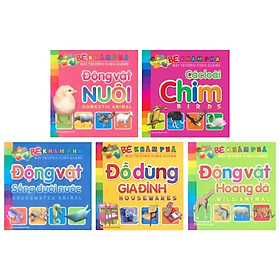 Combo Bé Khám Phá Môi Trường Xung Quanh (Bộ 5 Cuốn)