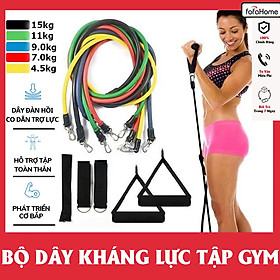 Bộ 5 Dây Ngũ Sắc Tập Gym Full Body, Dụng Cụ Tập Gym Đa Năng Kéo Đàn Hồi Tập Thể Hình Cao Cấp Bộ Dây Cao Su Đàn Hồi Kháng Lực Tập Toàn Thân