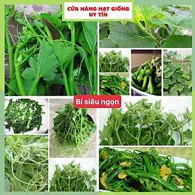 Mua Hạt giống bí siêu ngọn F1 (20 hạt) dễ trồng năng suất cao chống sâu bệnh cửa hàng hạt giống uy tín