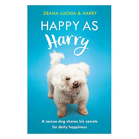 Happy as Harry: A rescue dog shares his secrets for daily happiness