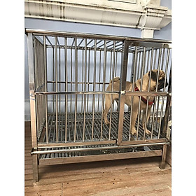 Chuồng chó Inox Juno Sofa KT (50 x 80 x 70cm) Không có mái che 