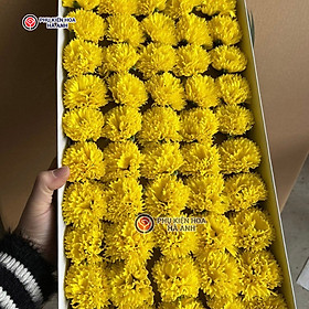 Mua Lẻ bông Hoa phăng (cẩm chướng) sáp