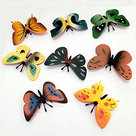 Đồ chơi 8 con Bươm Bướm Butterfly Safari 6cm xinh xắn độc đáo trang trí bàn học