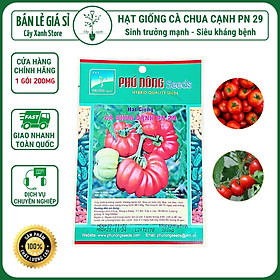 Mua Hạt giống cà chua cạnh PN 29 gói 200mg Phú Nông Seeds sinh tưởng mạnh siêu kháng bệnh - Cây Xanh Store