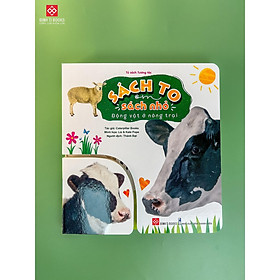 Sách - Sách To Ôm Sách Nhỏ - Dành Cho Bé 0 - 6 Tuổi - Chọn Lẻ 2 Chủ Đề - Đinh Tị Books