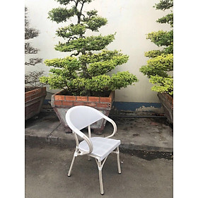Mua Ghế Sân Vườn AV05 - Ghế Ngoài Trời Cho Sân Vườn - Ghế Cafe - Ghế Nhà Hàng