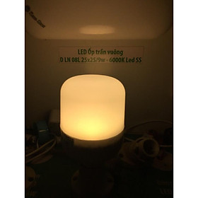 Mua Bóng led trụ 20w ánh sáng vàng dùng trang trí cho cửa hàng   nhà cửa.