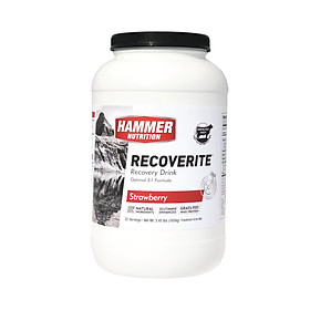 Sữa phục hồi cơ bắp Hammer Nutrition Recoverite 32 Serving