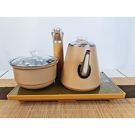 Mua Tổng Hợp Các Mẫu Bếp Điện Được Ưa Chuộng Nhất Hiện Nay