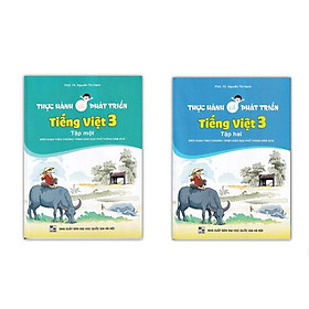 Combo Thực Hành Và Phát Triển Tiếng Việt 3 Tập 1 + 2 ( QL )