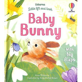 Sách - Baby Bunny - Usborne Little Lift by Anna Milbourne (author),Holly Clifton-Brown (artist) (UK edition, Board Book)