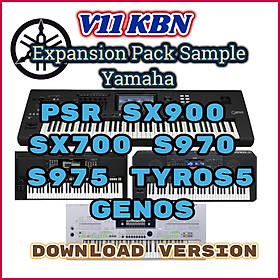 Bộ Sample KBN V11 Dành Cho Các Dòng Đàn Yamaha PSR SX900 SX700 S970 S975 Tyros5 Genos