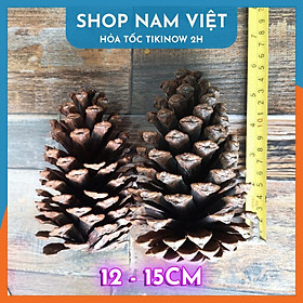 Mua Set 5 Quả Thông Khô Đà Lạt Tự Nhiên Trang Trí Giáng Sinh
