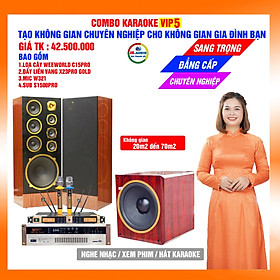 Mua Dàn karaoke gia đình loa C15pro giá 42 5 triệu đồng - Hàng chính hãng