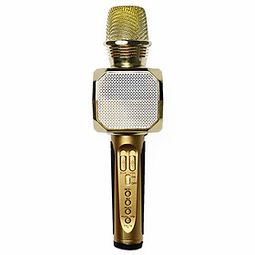 Mua Mic Hát Karaoke Không Dây Gia Đình Có Loa Bluetooth Nghe Nhạc