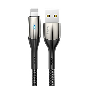 Cáp sạc nhanh 2.4A truyền dữ liệu Baseus Horizontal kết nối iPhone tích hợp đèn báo sạc dài 100CM ( 2 màu ) - Hàng chính hãng