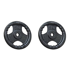 Bộ 2 bánh tạ gang 5kg Đại Nam Sport (Tổng 10kg)