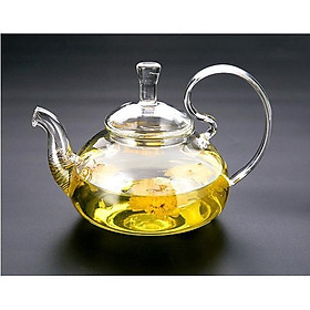 Mua Ấm trà thuỷ tinh 600ml tay vồng