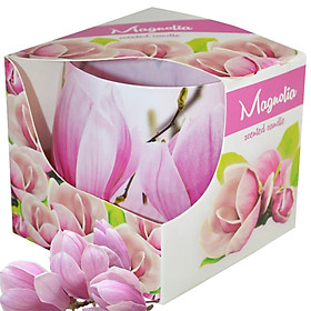 Mua Ly nến thơm tinh dầu Admit Magnolia 100g QT026979 - hoa mộc lan