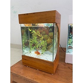 Bể cá mini để bàn bao khung gỗ, kiểu dáng hiện đại, kích thước dài 30cm, rộng 18cm, cao 45cm