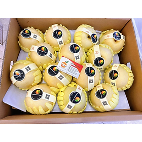 Lê Sữa Hàn Quốc