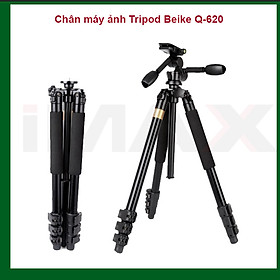 Mua CHÂN MÁY ẢNH TRIPOD BEIKE Q-620 - HÀNG NHẬP KHẨU