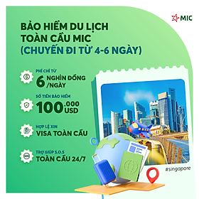 Bảo hiểm du lịch toàn cầu MIC, chuyến đi từ 4 - 6 ngày, gói Thượng hạng