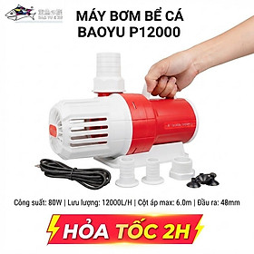 Máy Bơm Nước Bể Cá Baoyu P12000 (12000L/H, 80W, Out 48) - Siêu Êm, Siêu Tiết Kiệm Điện