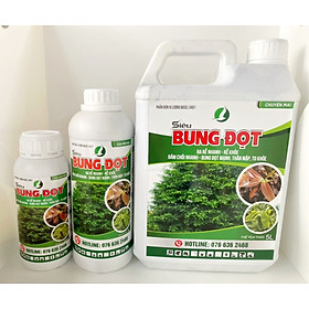 Mua PHÂN BÓN DƯỠNG LÁ  MẬP ĐỌT CHUYÊN DÙNG CHO CÂY KIỂNG/MAI VÀNG - SIÊU BUNG ĐỌT CHAI 500ML/CHAI 1L VÀ CAN 5L