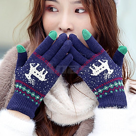 Găng tay len chống nắng nữ Anasi GS33 - Cảm ứng điện thoại - Họa tiết dễ thương