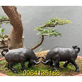 Mua Tượng tiểu cảnh đôi Trâu chọi 23cm gốm sứ Bát Tràng