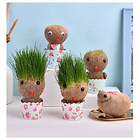Mua Búp bê đầu cỏ mọc tóc mini dễ thương trồng cây cỏ trang trí phòng học bàn làm việc tạo sự may mắn