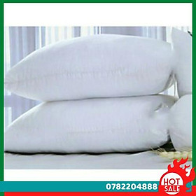 Mua Combo 2 Ruột Gối Trắng Bông Gòn - CH Hương Thị Miễn Phí Vận Chuyển