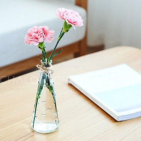 Lọ hoa thủy tinh - Bình hoa decor trang trí nhà cửa, phòng khách...(Chai trơn - Không in hình, không kèm phụ kiện)