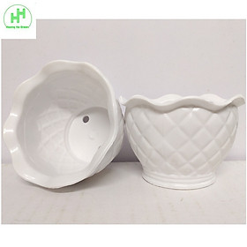 2 Chậu nhựa quả Dứa 100x70x60, trồng cây mini,  xương rồng, cây để bàn, sen đá
