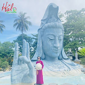 BAY TRƯA VỀ TỐI _PHÚ YÊN