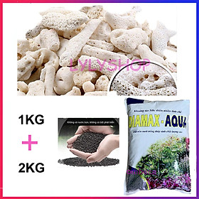 San Hô Vụn túi 1KG + Phân nền thủy sinh DIAMAX AQUA 2KG giàu dinh dưỡng, trang trí bể cá, hồ cá