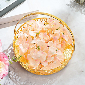 Exquisite Snack Storage Dish W/ Handle Round Trinket Tray Dish Vanity Tray