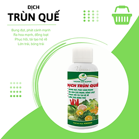 Mua Phân bón VIGAMI ZINSUPER dịch trùn quế 1000ML